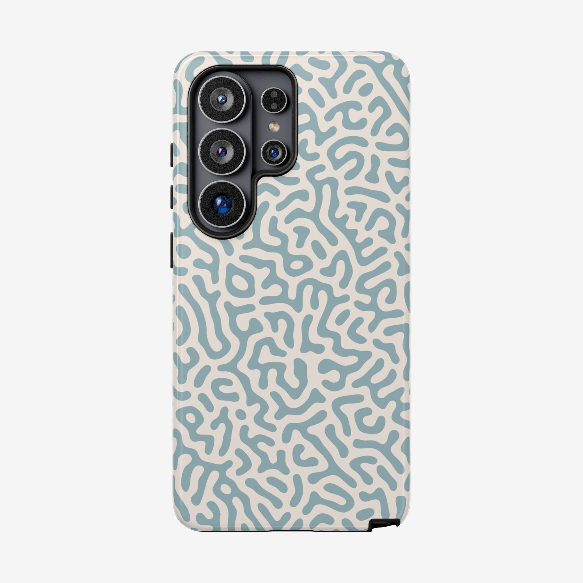 Coral Maze