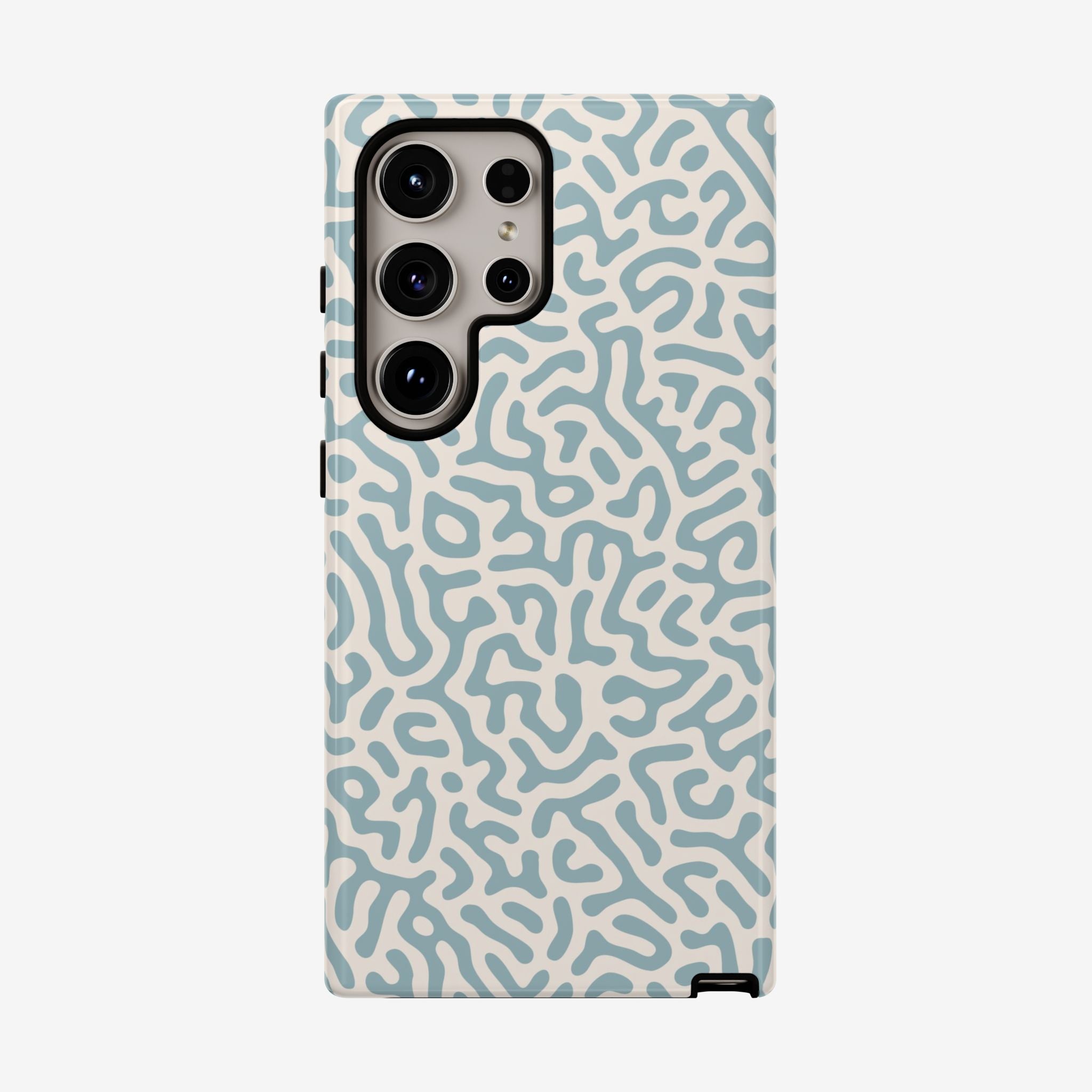 Coral Maze