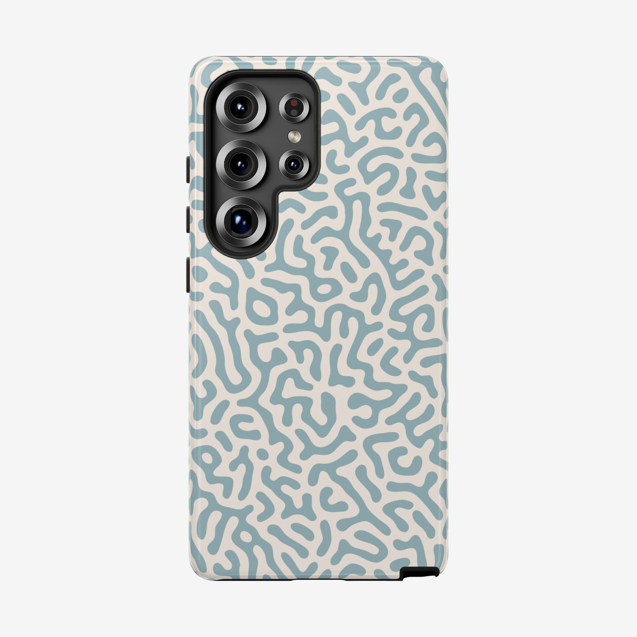 Coral Maze