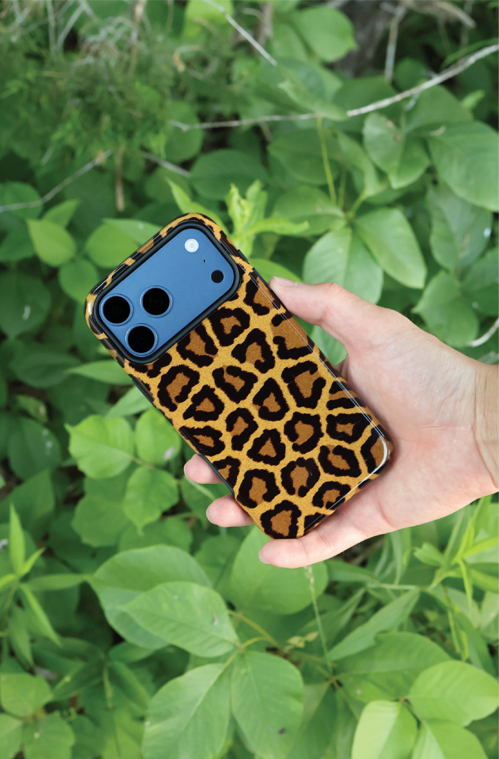 Jaguar Pattern