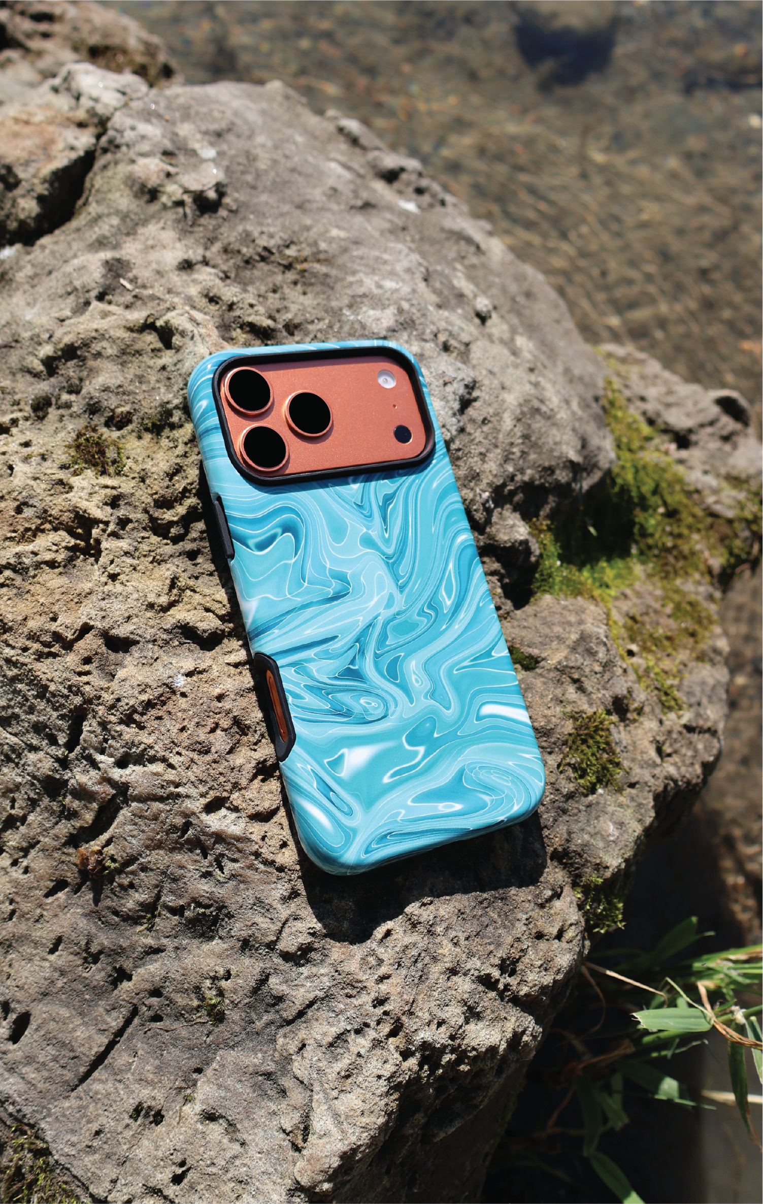 Marbled Teal