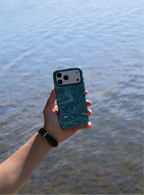 Marbled Teal