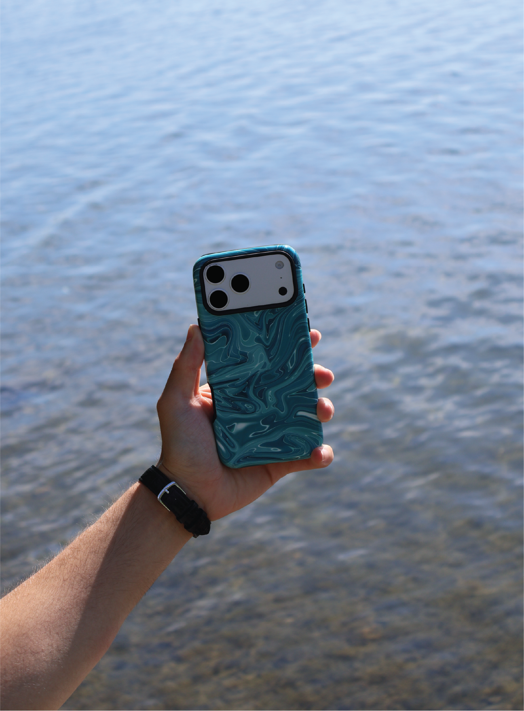 Marbled Teal
