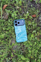 Marbled Teal
