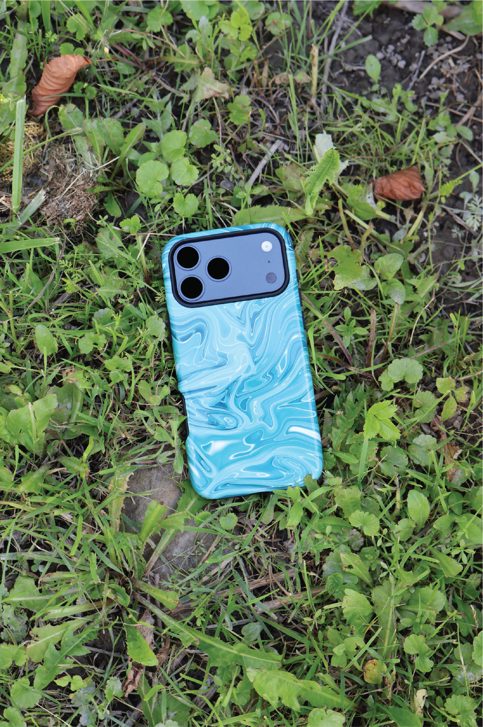 Marbled Teal