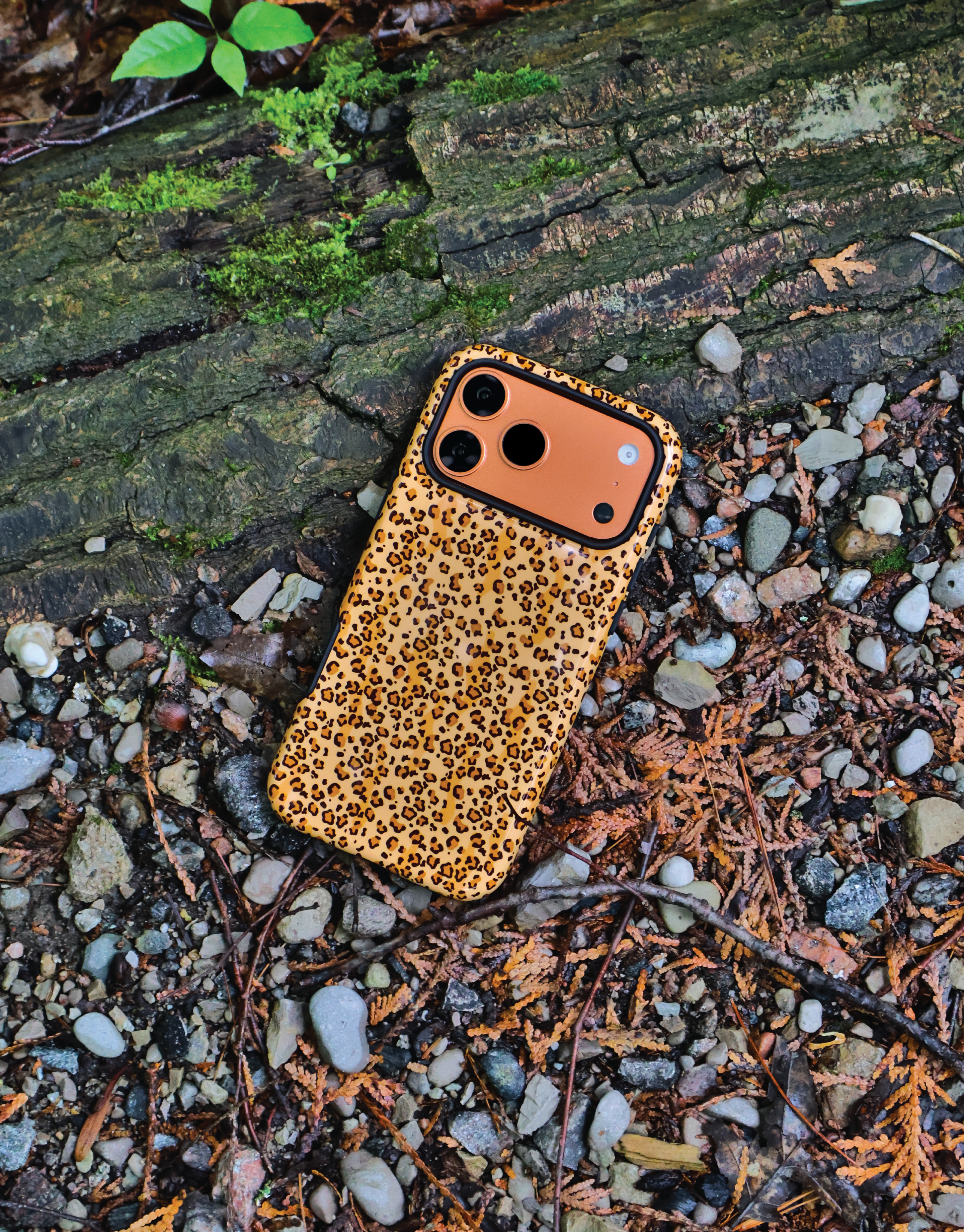 Cheetah Dots