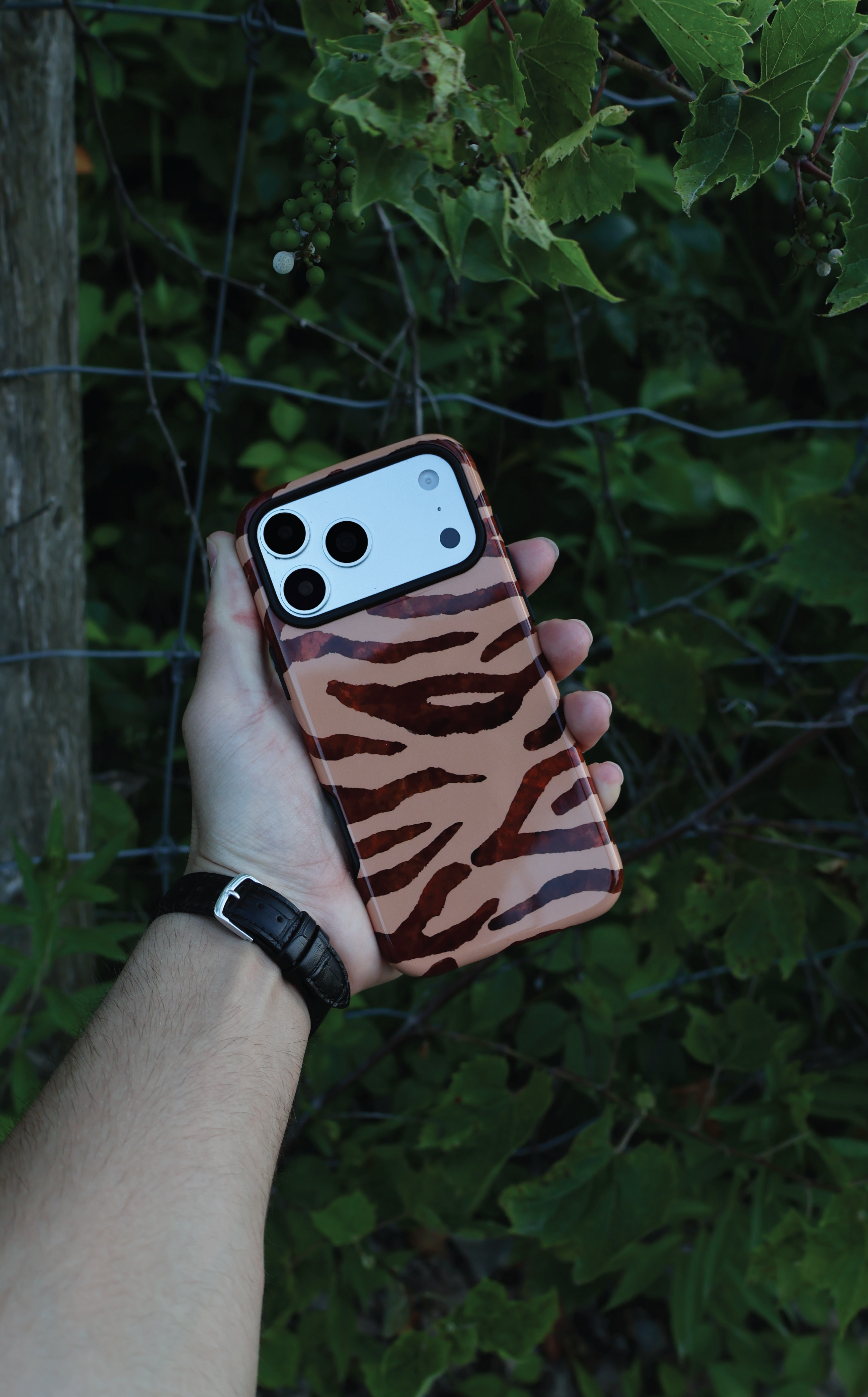 Tiger Stripe