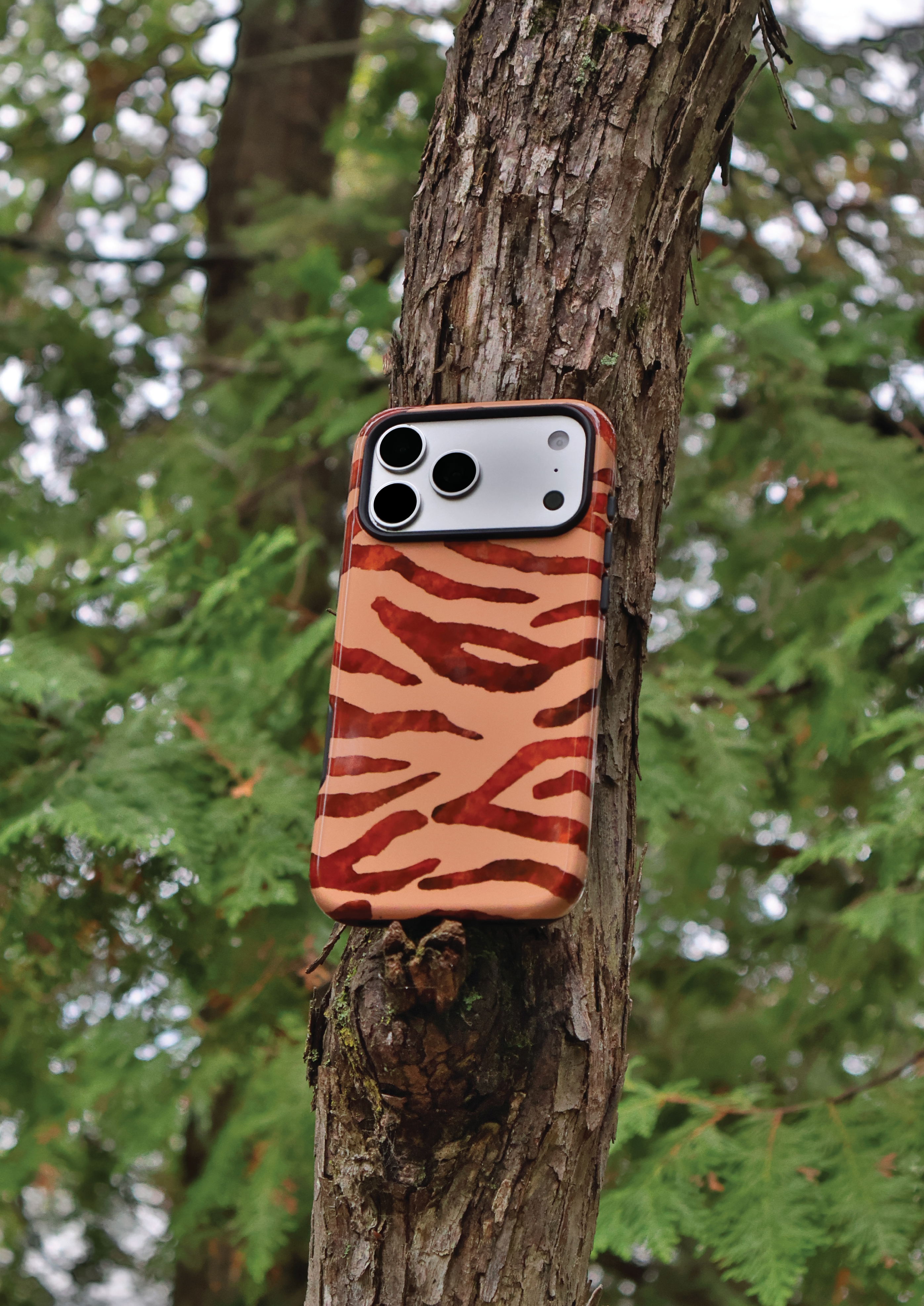 Tiger Stripe