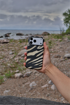 Zebra Stripes