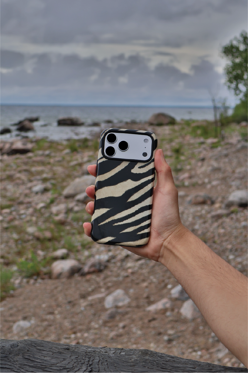 Zebra Stripes
