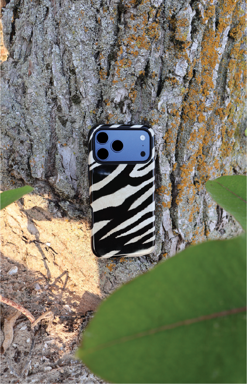 Zebra Stripes