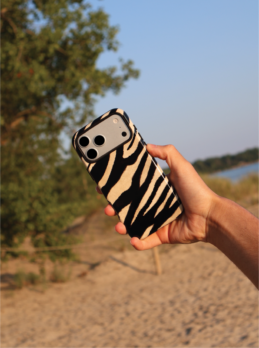 Zebra Stripes